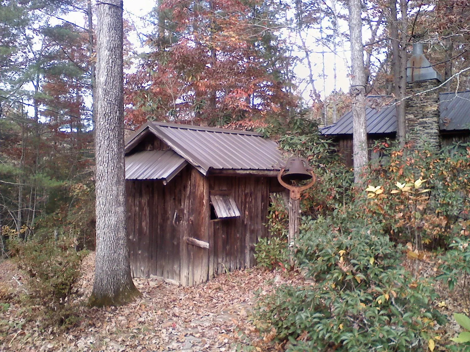 Small metal roof on a rough sawn shed in the woods in Lamont